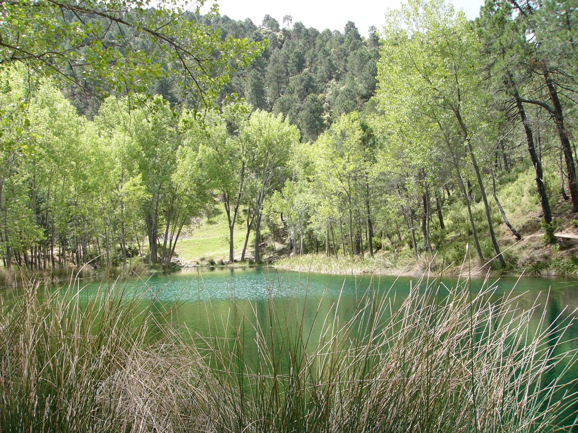 הוילה Villaverde De Guadalimar El Enebro מראה חיצוני תמונה